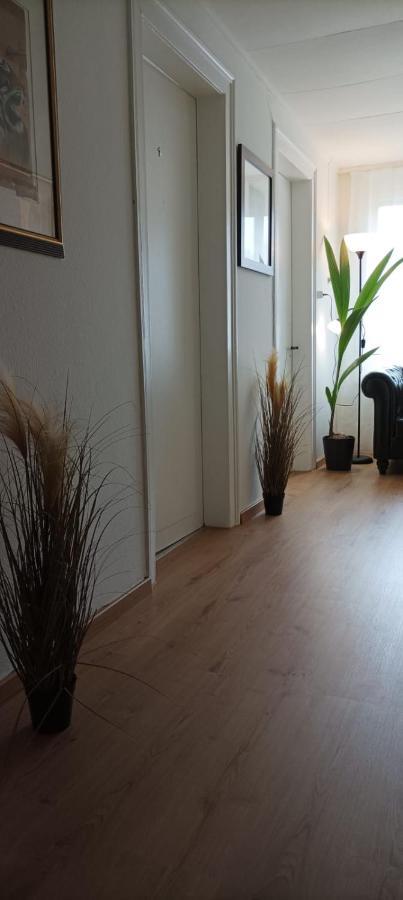 Ntn House St. Gallen Exterior foto